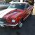 Shelby GT 350 Mustang  Muscle Car