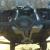 Ford : Mustang Fastback Sportsroof