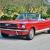 call dan now for buy it now NO RESERVE 863-370-6712