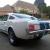 Ford : Mustang Fastback Shelby GT350 Recreation