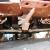 Chevrolet : Corvette N/A