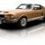 Ford : Mustang GT500