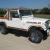 Jeep : CJ SL