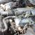 Pontiac : Trans Am 2 door