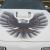 Pontiac : Trans Am Firebird