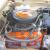 Dodge : Dart Custom
