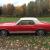 Ford : Mustang FORD MUSTANG