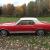 Ford : Mustang FORD MUSTANG