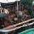 Dodge : Power Wagon Power Wagon