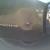 Pontiac : Firebird 350 HO