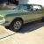 Ford : Mustang stainless