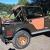 Jeep : Other Golden Eagle Sport Utility 2-Door