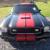 Ford : Mustang Cobra II