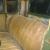 1930 Ford Model A 5 Window Coupe HOT ROD Project OR Resto in Palm Beach, QLD