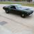 Plymouth : Barracuda cuda