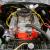 Plymouth : Barracuda cuda