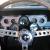 Ford : Mustang GT