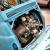 Fiat 500 D Suicide Door Transformabile 1957 
