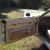 Oldsmobile : Toronado Brougham