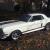 Ford : Mustang GT 350 Shelby