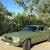 Ford : Mustang stainless