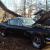 Ford : Mustang Fastback