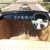 1932 Ford Roadster