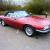 JAGUAR XJS V12 CONVERTIBLE 1989 LAST OWNER OF 14 YEARS - STUNNING CAR