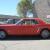 Ford : Mustang Red Coupe
