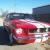 Ford : Mustang GT350 Replica
