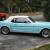 Ford : Mustang Standard Blue interior