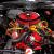AMC : Other Amx Amc Javlin Superbird, Harley Davidson Maserati