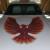 Pontiac : Firebird T/A