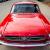 Ford : Mustang Coupe