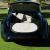 Willys : Coupe Custom