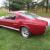 Ford : Mustang Shelby GT