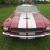 Ford : Mustang Shelby GT