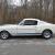 Ford : Mustang FASTBACK SHELBY TRIM