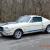 Ford : Mustang FASTBACK SHELBY TRIM