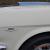 Ford : Mustang FASTBACK SHELBY TRIM