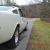 Ford : Mustang FASTBACK SHELBY TRIM