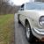 Ford : Mustang FASTBACK SHELBY TRIM