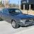 Ford : Mustang PROFESSIONAL BUILD