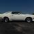 Ford : Mustang KING COBRA
