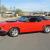 Ford : Mustang MUSTANG 302 289 1965 66 67 68 1969 70 PROJECT