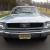 Ford : Mustang base coupe