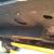 Ford : Mustang Fastback