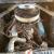 Ford : Mustang Fastback