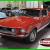 Ford : Mustang MUSTANG, SHELBY, BOSS, GT