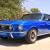 Ford : Mustang Coupe